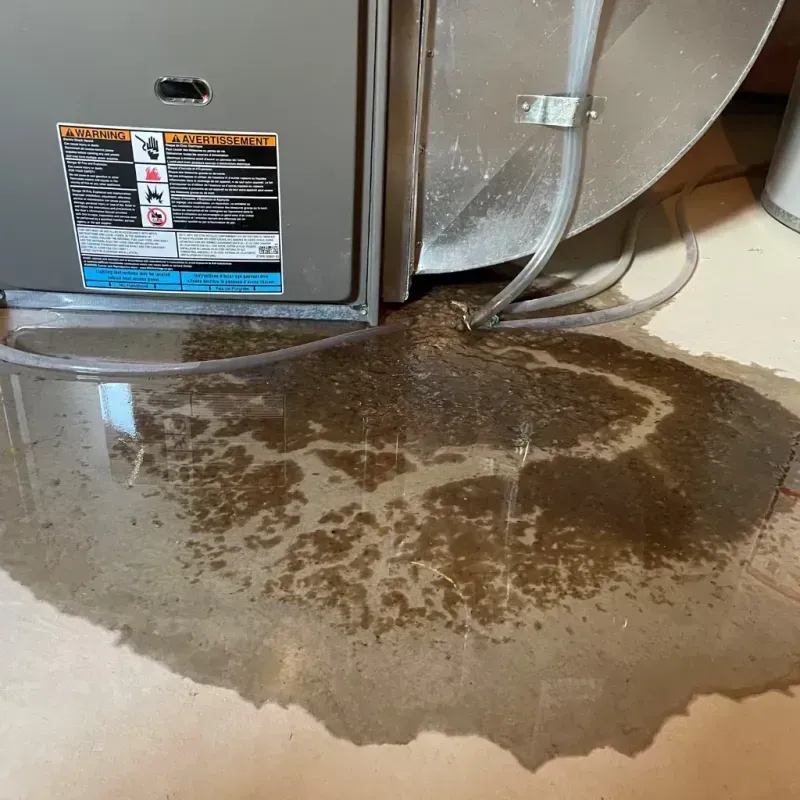 Appliance Leak Cleanup in Gilbert, MN